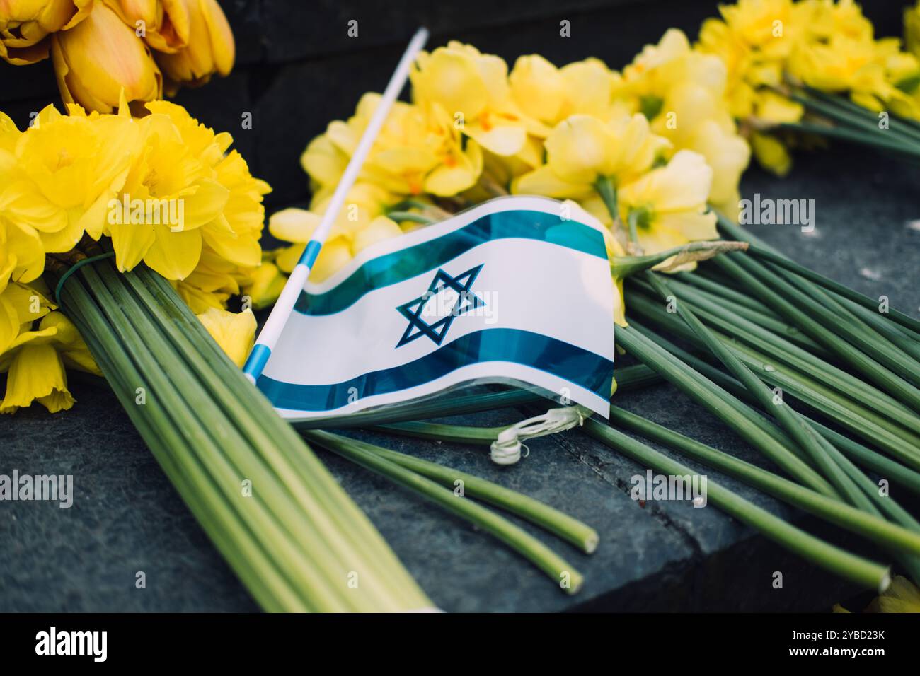 Drapeau israélien et jonquilles jaunes sur des marches de pierre, symbolisant le souvenir de l'Holocauste et le deuil national Banque D'Images