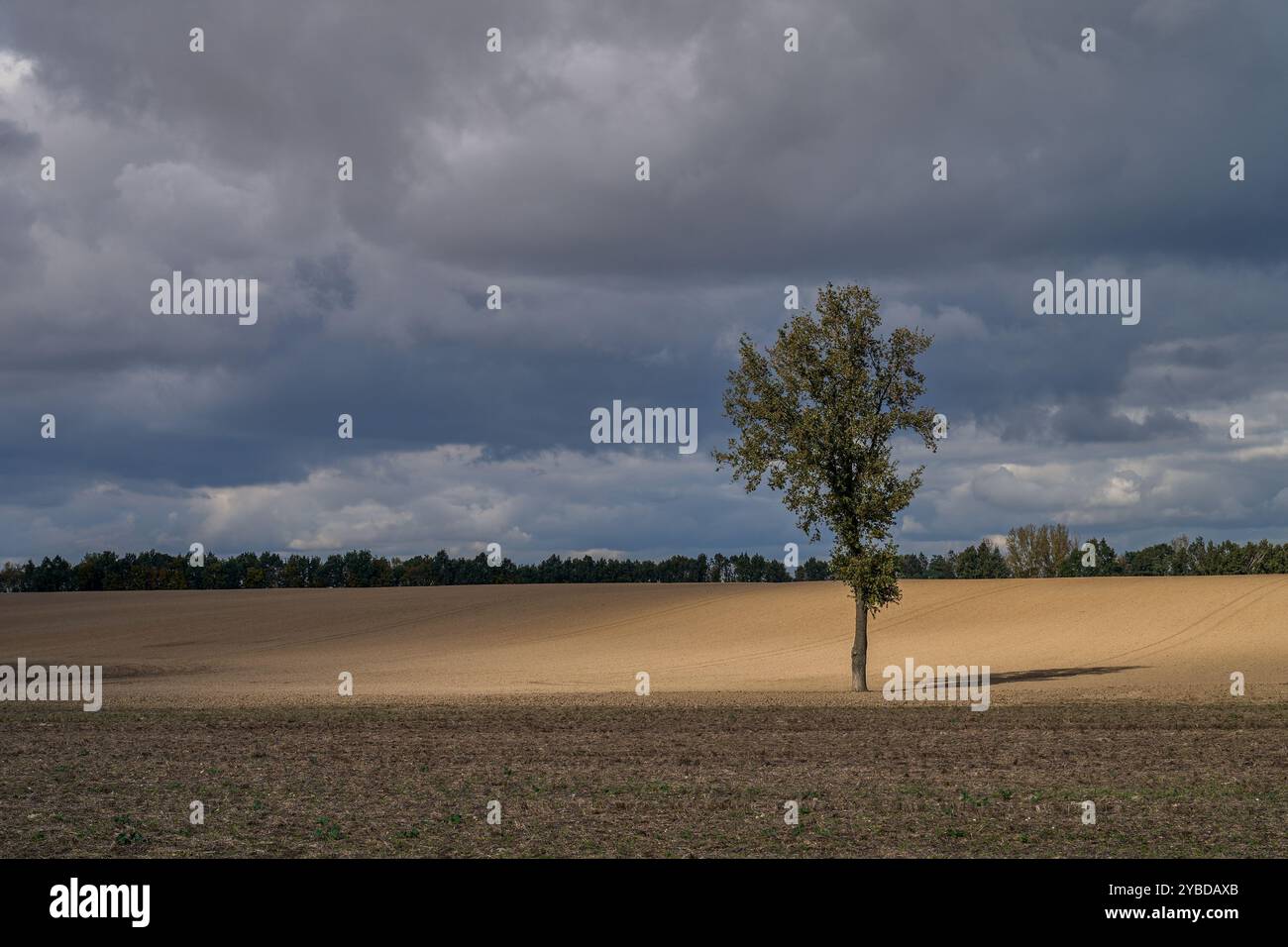 Paysage rural d'automne inférieur de Silésie avec ciel spectaculaire Banque D'Images