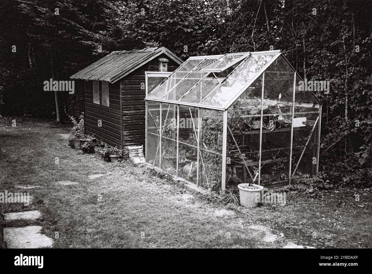 Greenhouse, Medstead, Alton, Hampshire, Angleterre, Royaume-Uni. Banque D'Images