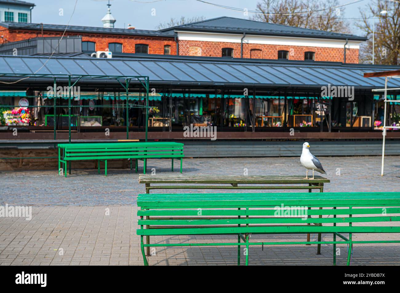 Une mouette se tient seule sur un banc vert dans une place de marché paisible sous un ciel clair. Banque D'Images