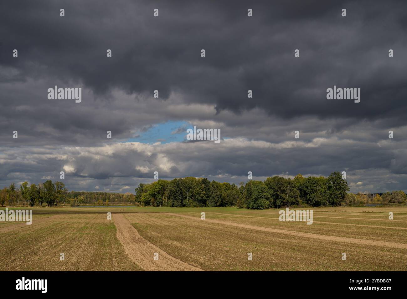 Paysage rural d'automne inférieur de Silésie avec ciel spectaculaire Banque D'Images