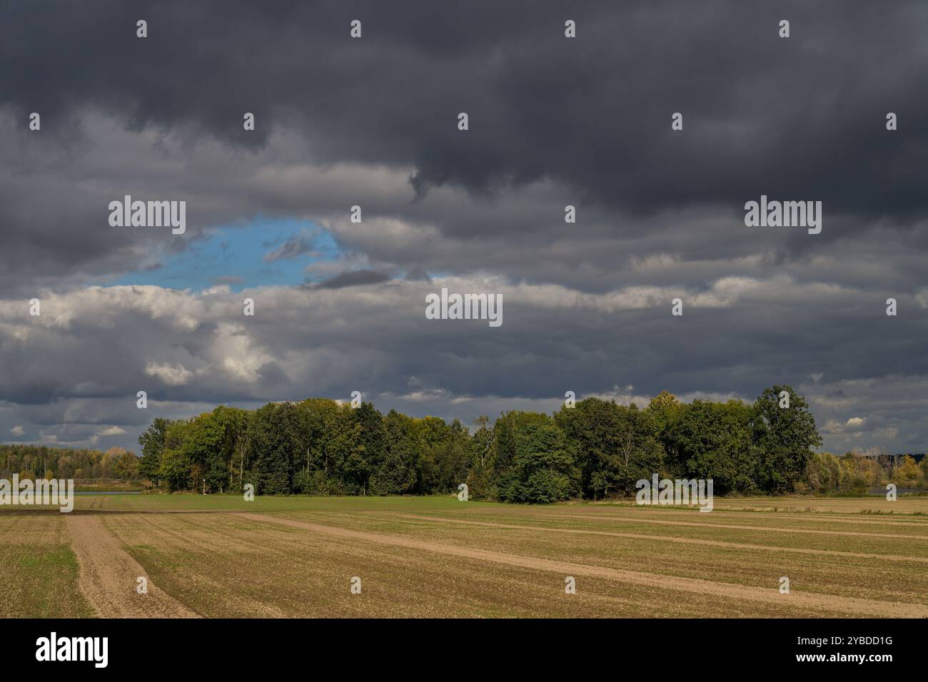 Paysage rural d'automne inférieur de Silésie avec ciel spectaculaire Banque D'Images