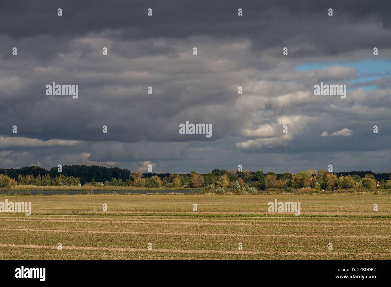 Paysage rural d'automne inférieur de Silésie avec ciel spectaculaire Banque D'Images