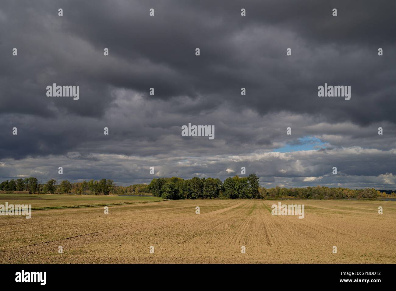 Paysage rural d'automne inférieur de Silésie avec ciel spectaculaire Banque D'Images