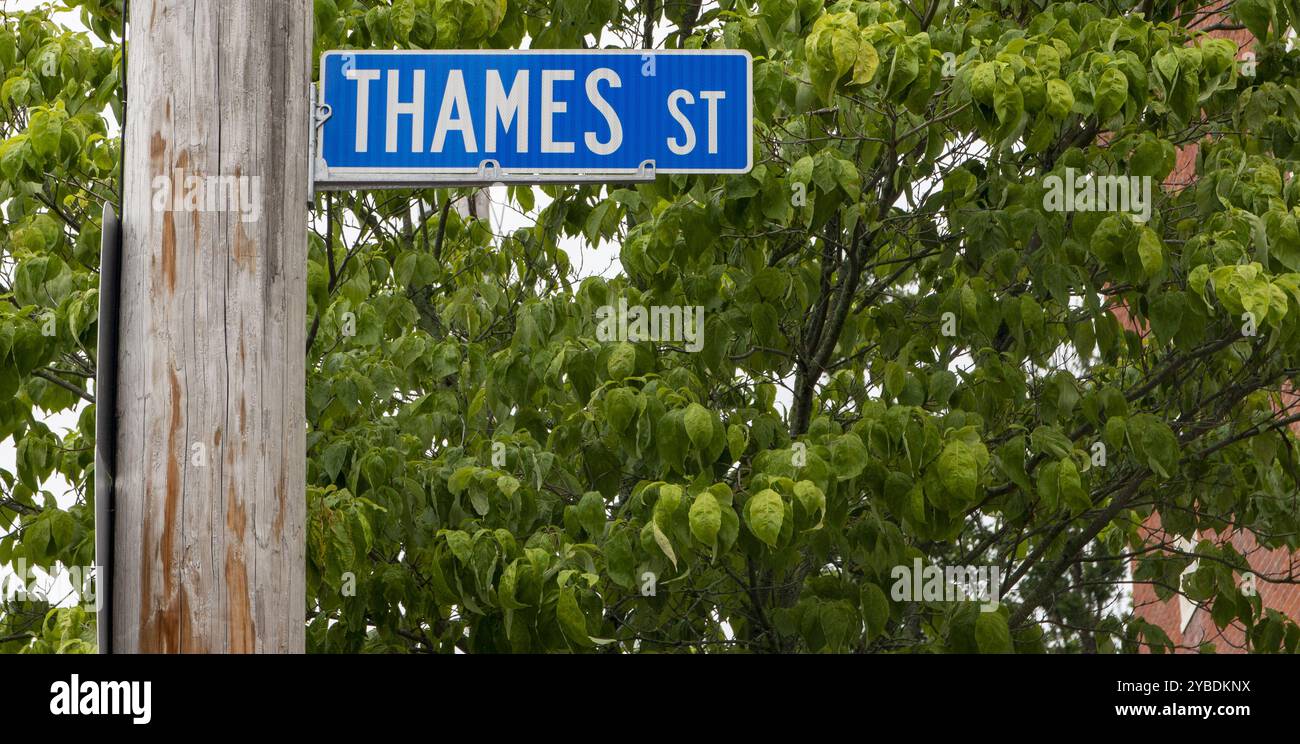 Thames Street signe parmi les feuilles luxuriantes à Newport Rhode Island. Banque D'Images