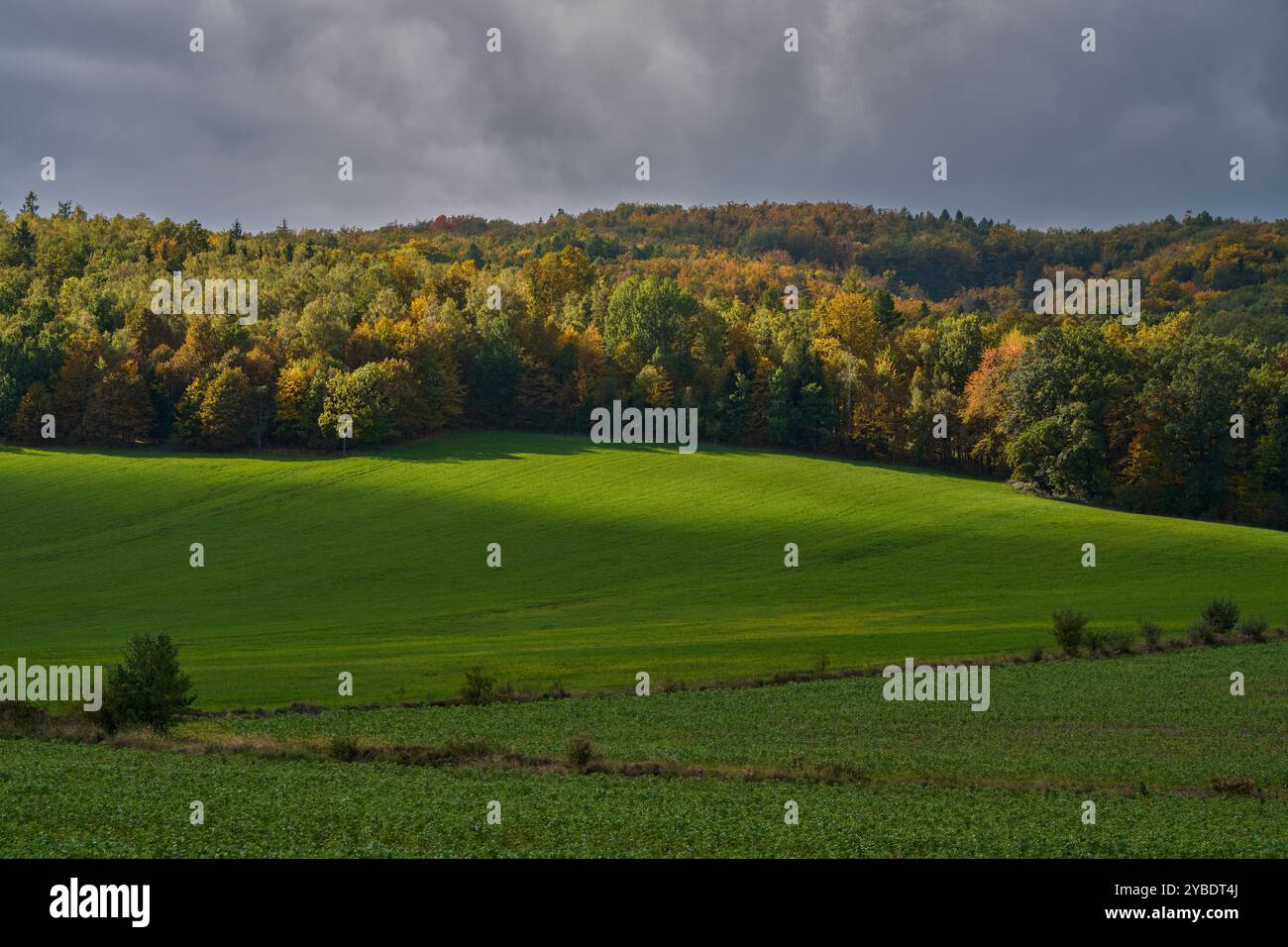 Paysage rural d'automne inférieur de Silésie avec ciel spectaculaire Banque D'Images
