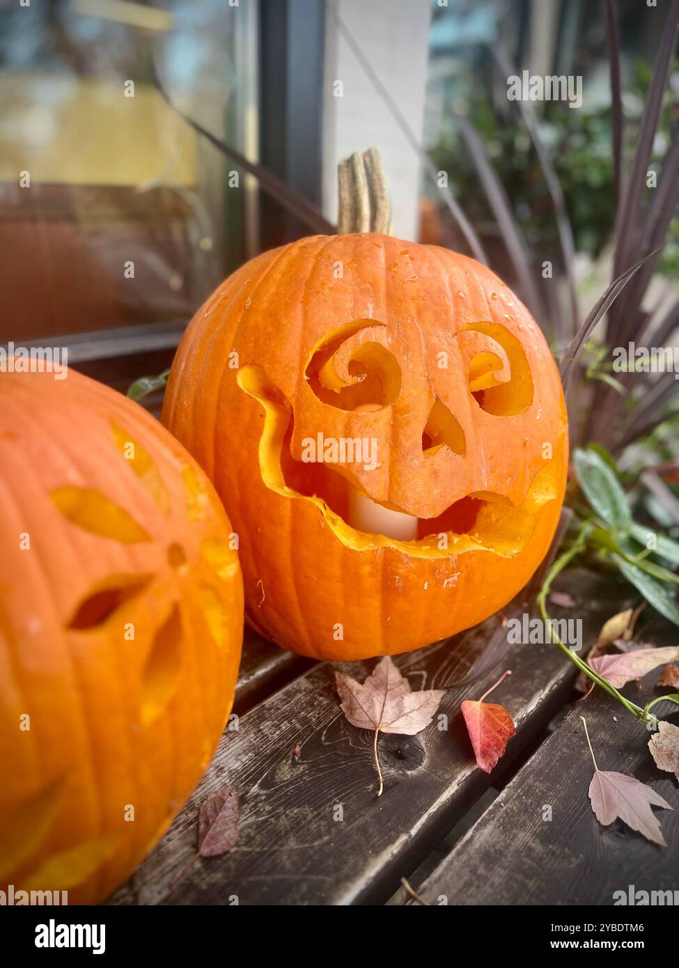 Une lanterne en forme de citrouille sculptée au design ludique se trouve sur un présentoir d'automne, entouré de feuilles d'automne, célébrant la saison d'Halloween - Image de stock capturée avec un smartphone