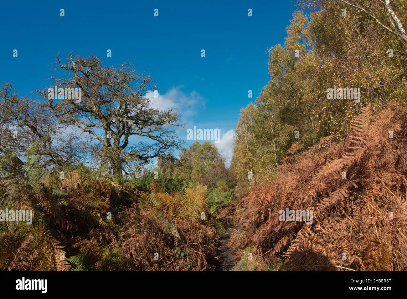 Birchen et Gardoms Edge. North Derbyshire Royaume-Uni Banque D'Images