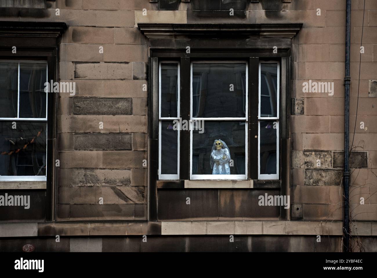 Mariée squelette d'Halloween effrayante dans la fenêtre d'un appartement à Stockbridge, Édimbourg, Écosse, Royaume-Uni. Banque D'Images