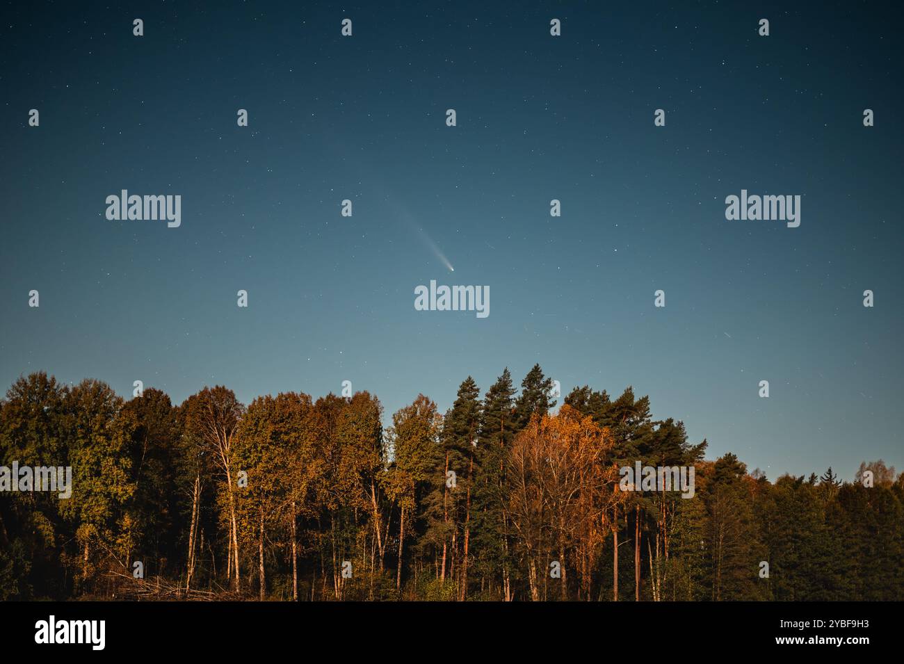 Comète C 2023 A3 Tsuchinshan–ATLAS au-dessus de la forêt en Lettonie le 18 octobre 2024 Banque D'Images