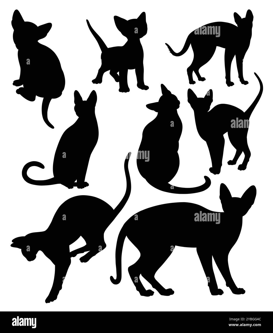 chat animal action pose silhouette Illustration de Vecteur chat animal action pose silhouette Illustration de Vecteur