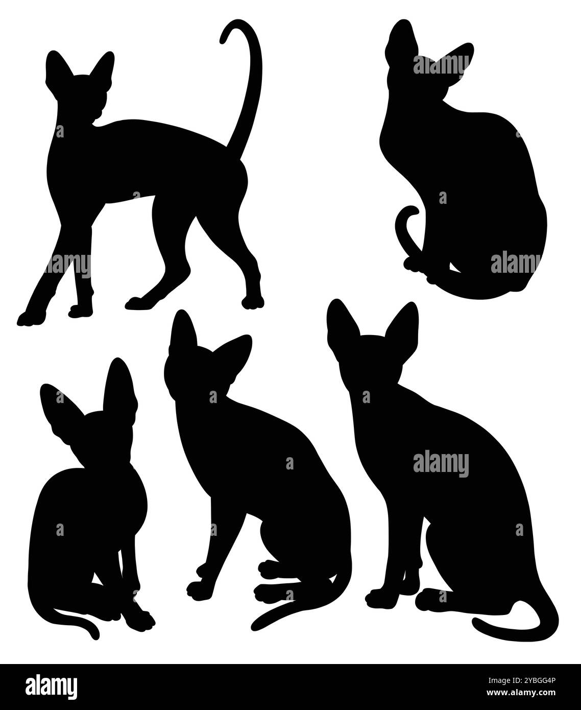 chat animal action pose silhouette Illustration de Vecteur