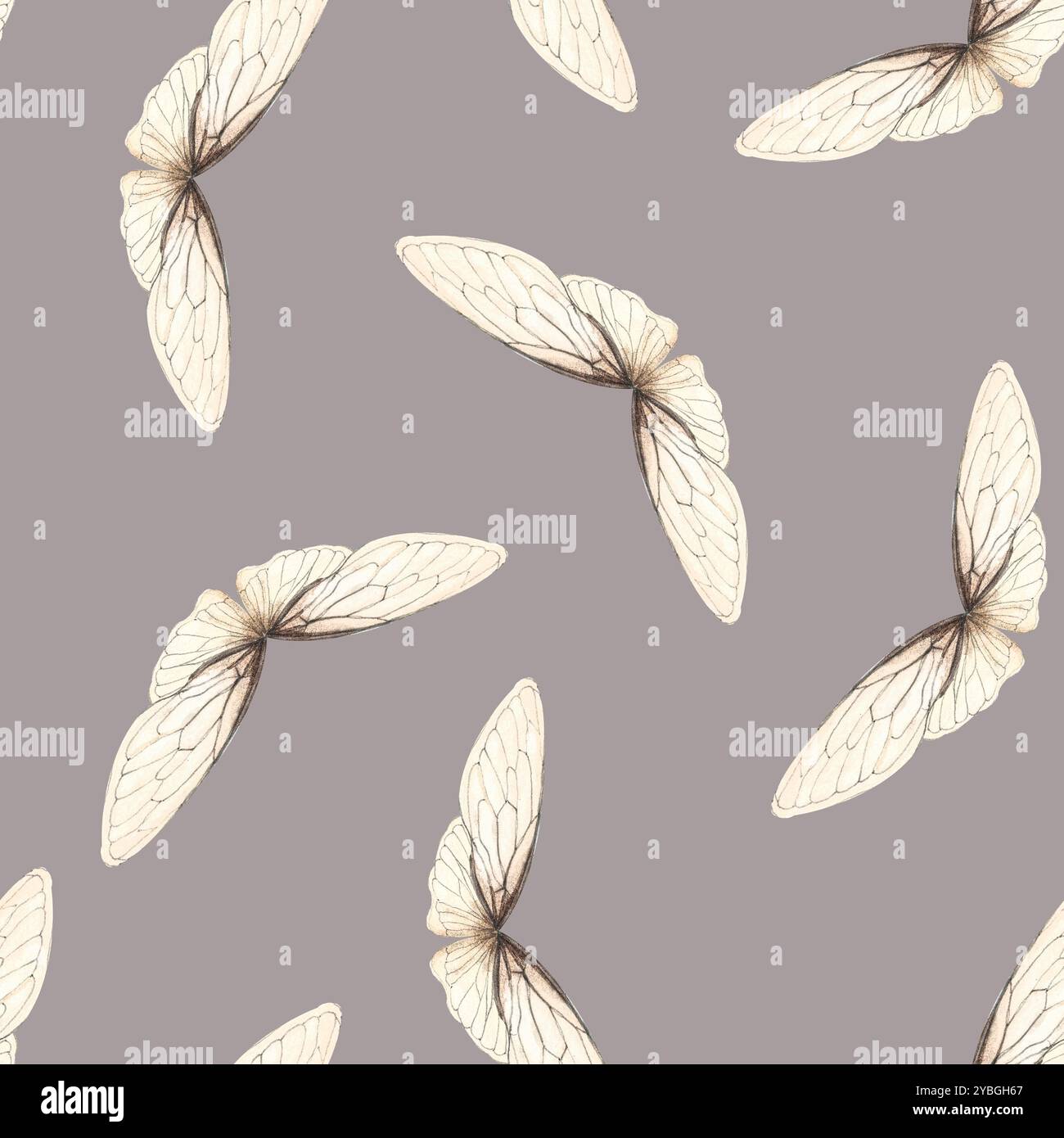 Ailes d'insecte peint à la main motif sans couture carré aquarelle sur fond gris rosé. Art de haute qualité parfait pour scrapbooking, linge de lit Banque D'Images