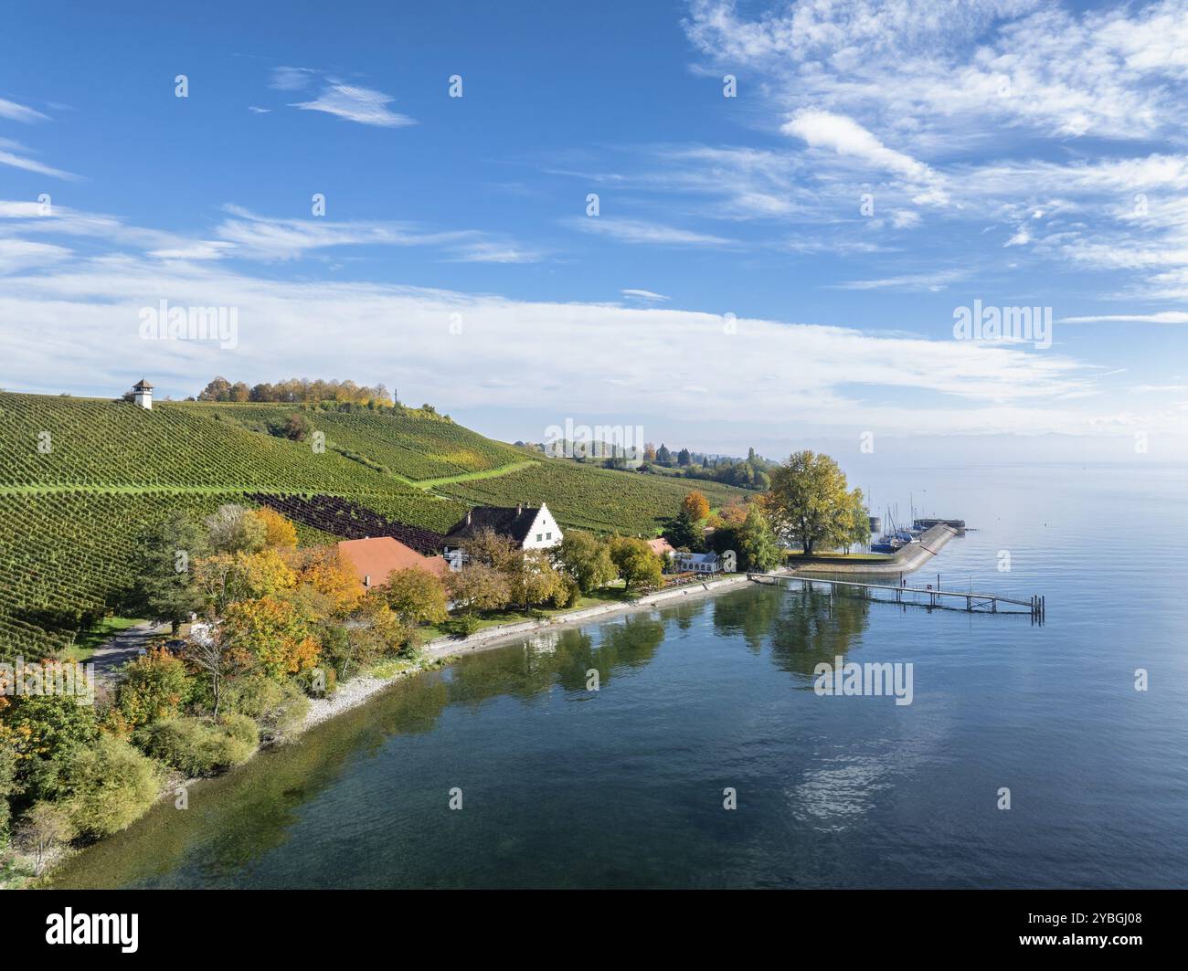 Vue aérienne de la marina et jetée à l'historique Rebgut Haltnau avec entreprise de restauration, restauration en plein air et lieu d'événement, derrière un vignoble avec Banque D'Images