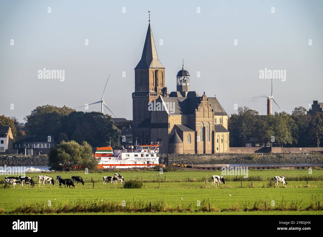 Horizon d'Emmerich, sur le Bas-Rhin, église St Martini, pâturages sur la rive gauche du Rhin, vaches, cargo, Rhénanie du Nord-Westphalie, allemand Banque D'Images