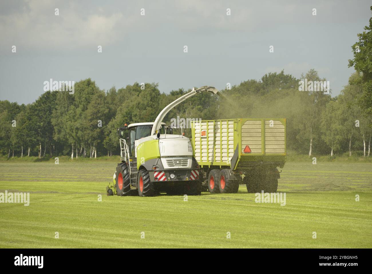 Agriculture, ensileuse et transport d'herbe avec tracteur vert et remorque d'herbe Banque D'Images