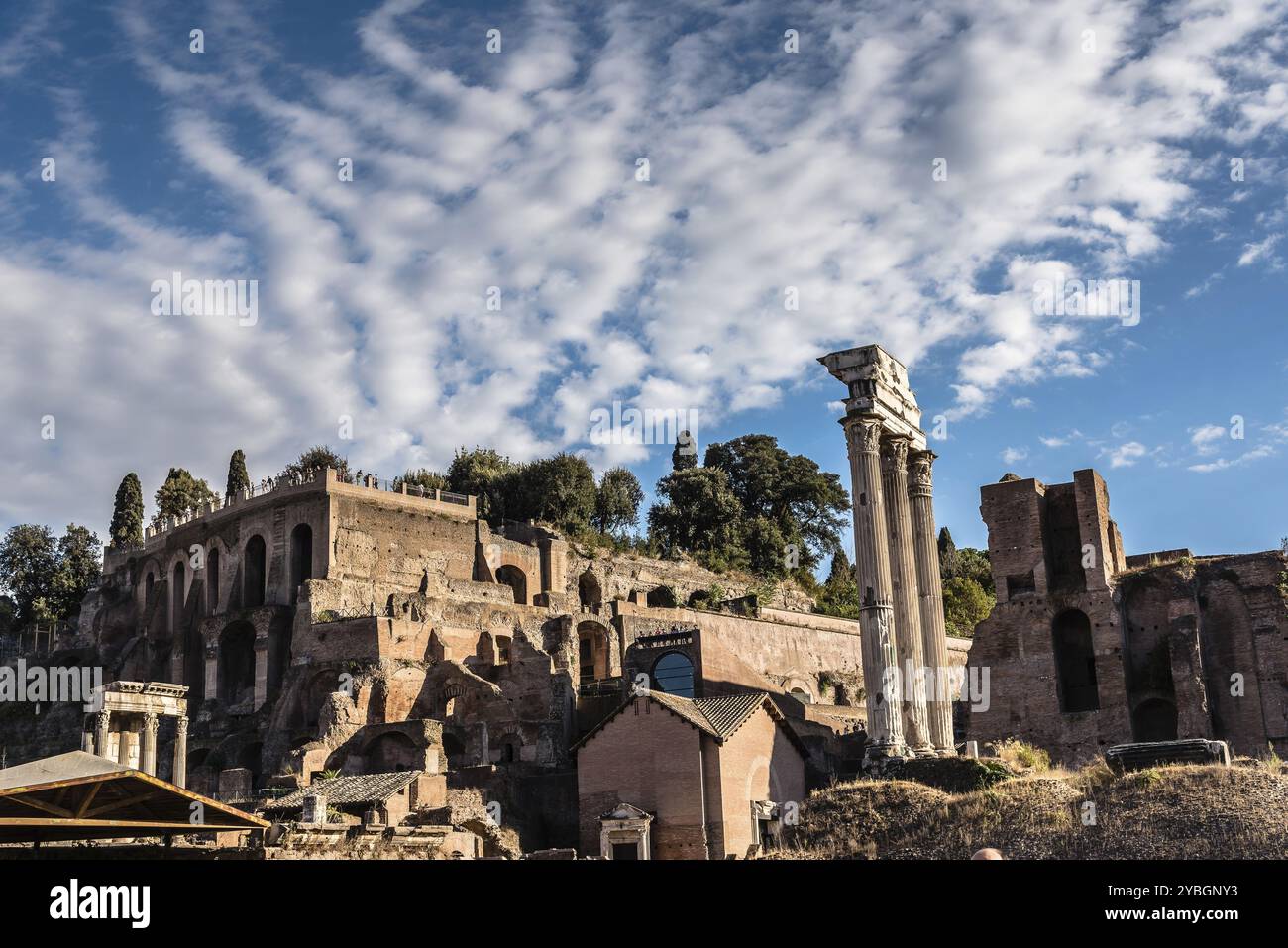 Vue du Forum de Rome une journée d'été ensoleillée à Rome. Il fut pendant des siècles le centre de la vie publique romaine Banque D'Images