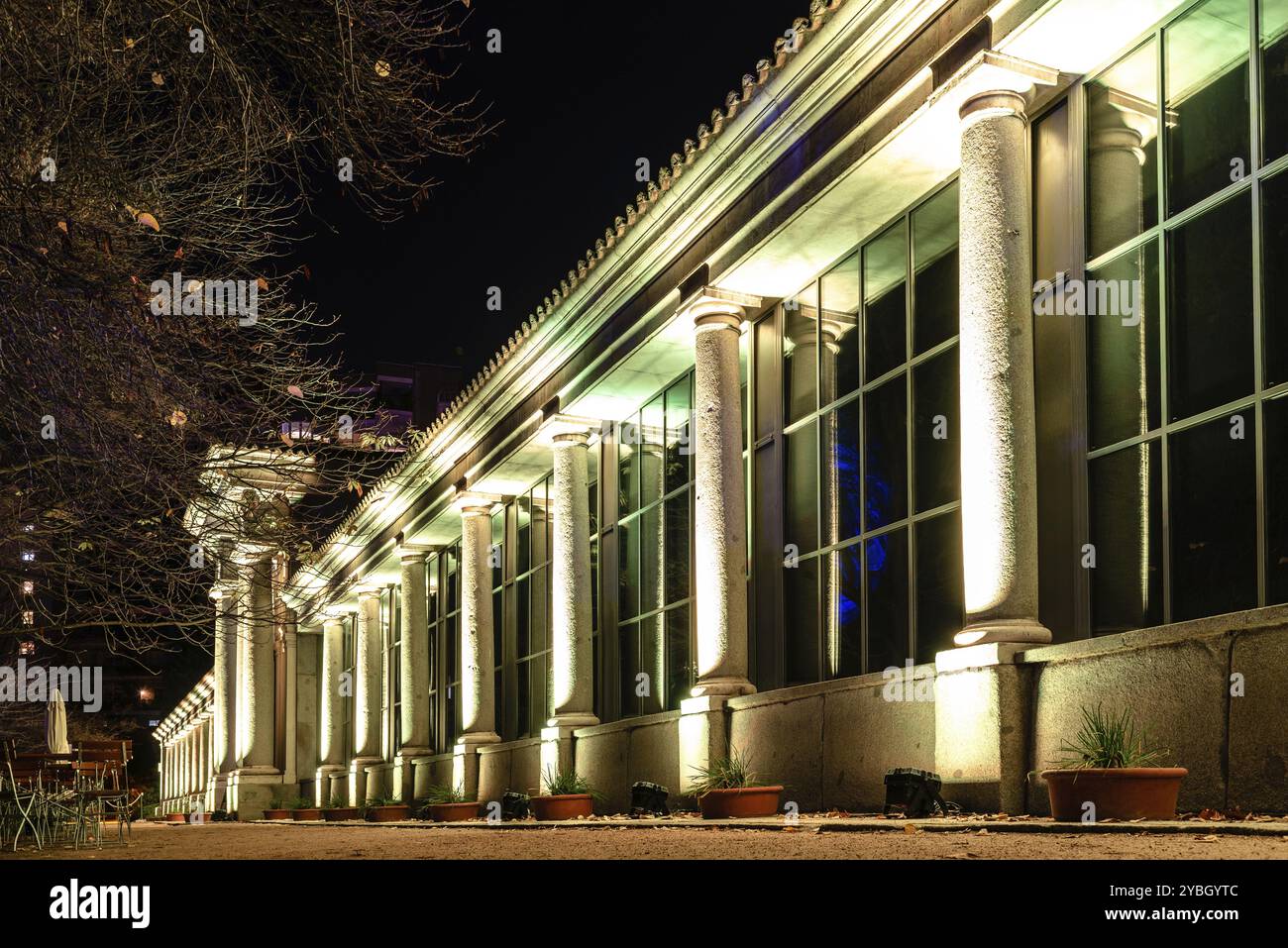 Madrid, Espagne, 5 décembre 2019 : jardin botanique royal de Madrid illuminé pendant la période de Noël. Un paysage de conte de fées lumineux avec Lig de Noël Banque D'Images