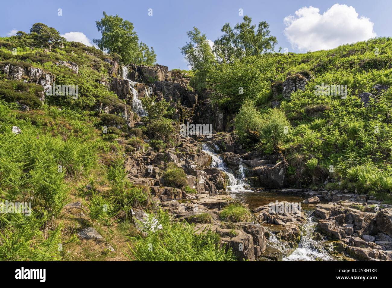 La Bleabeck Force près de la rivière Tees, comté de Durham, Angleterre, Royaume-Uni Banque D'Images