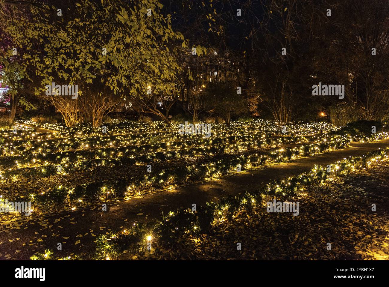 Madrid, Espagne, 5 décembre 2019 : jardin botanique royal de Madrid illuminé pendant la période de Noël. Un paysage de conte de fées lumineux avec Lig de Noël Banque D'Images