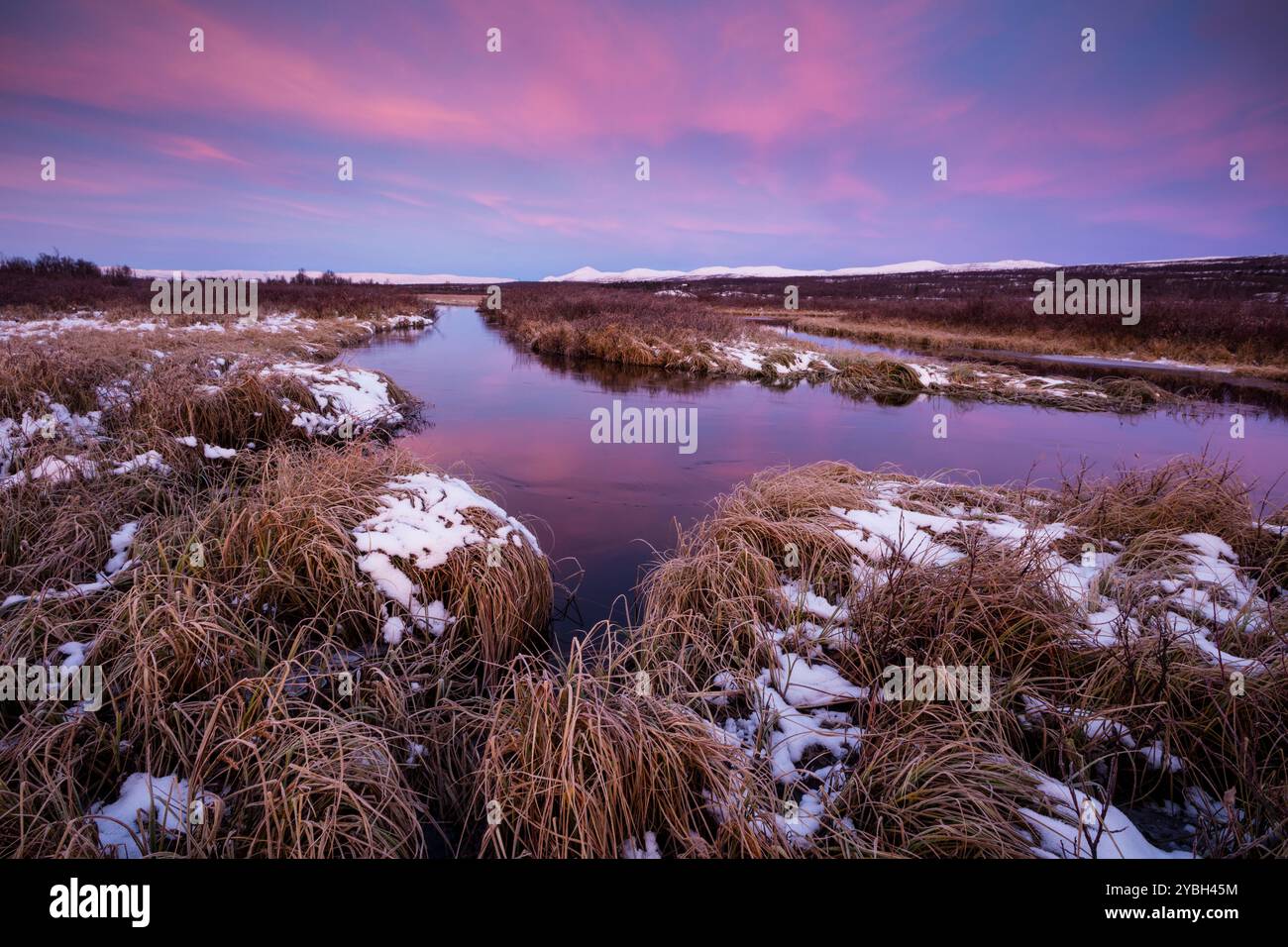 Première neige et lumière matinale à la réserve naturelle de Fokstumyra, Dovrefjell, Dovre kommune, Norvège, Scandinavie. Banque D'Images
