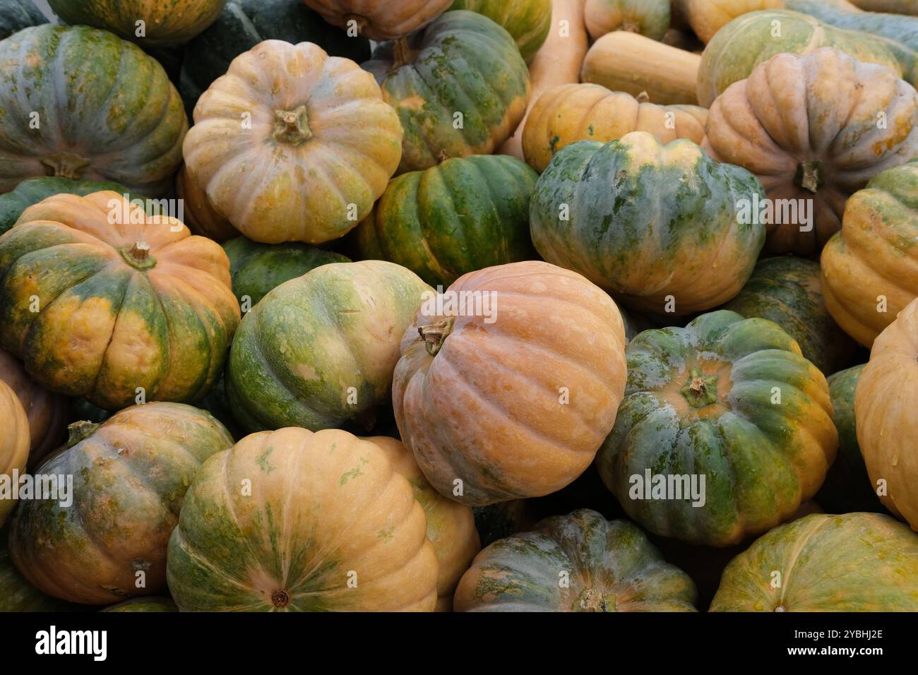 Une pile de courges et citrouilles de variété principalement « Muscade de Provence » exposées en diffusion, lumière nuageuse Banque D'Images