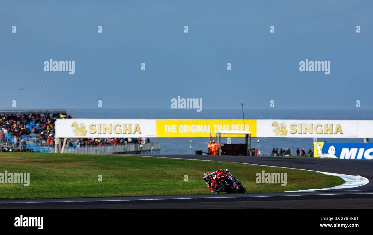 Phillip Island, Australie. 19 octobre 2024. Phillip Island, 19 octobre 2024 : Pedro Acosta (ESP) de Tech3 GasGas Factory Racing, lors des qualifications lors du MotoGP australien 2024. Alamy Live News/Corleve crédit : Corleve/Alamy Live News Banque D'Images