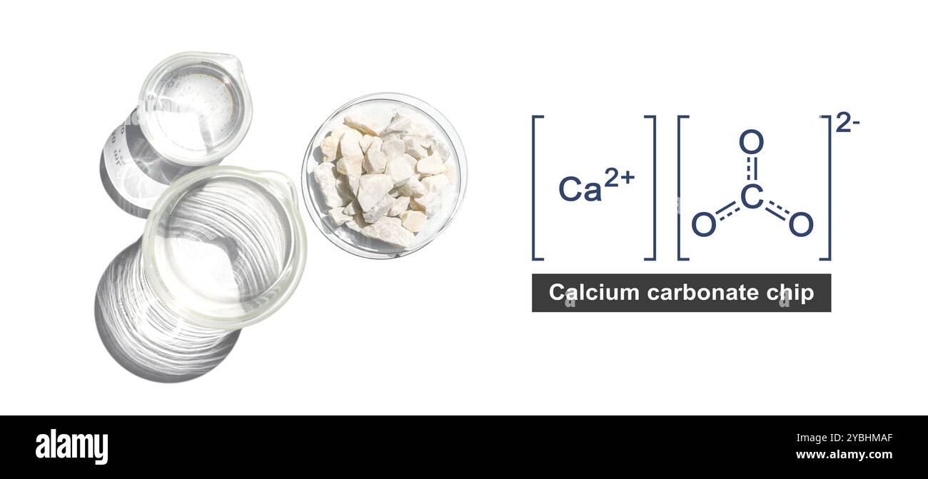 Puce de carbonate de calcium dans le verre de montre chimique avec la structure moléculaire place à côté du bécher sur la table blanche de laboratoire. Vue de dessus Banque D'Images