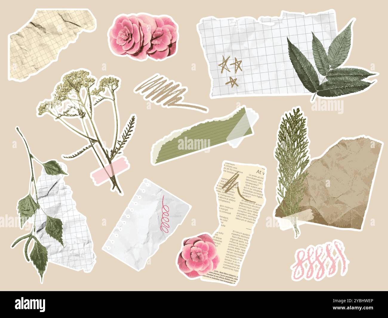 Eléments coupés en papier. Collage botanique avec des morceaux de papier déchiré de scrapbook, des gribouilles, des branches avec des feuilles et des fleurs. Coquette esthétique journal floral Illustration de Vecteur