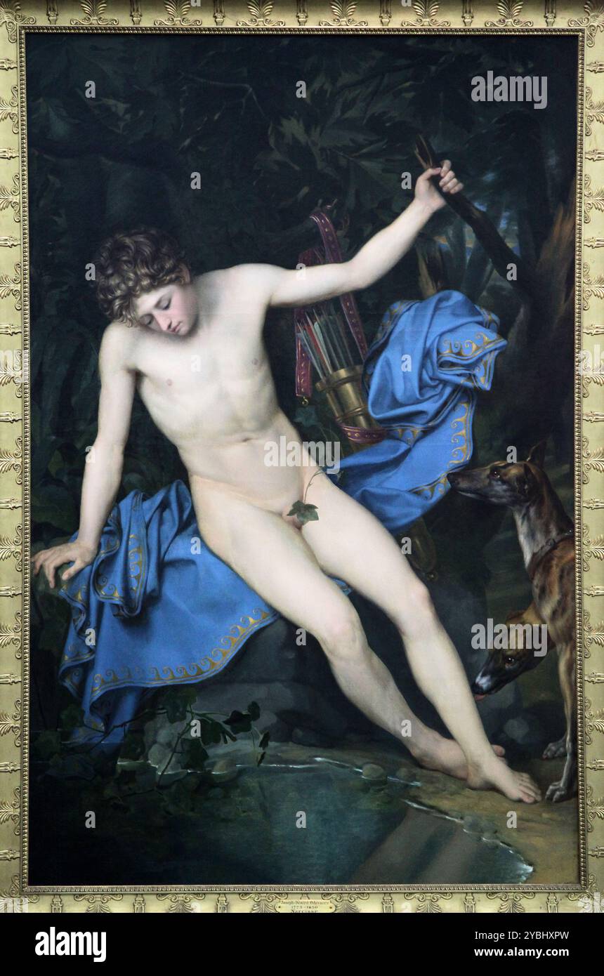 Narcisse (1820) du maître peintre Joseph-Denis Odevaere (1778-1830). Banque D'Images Narcisse (1820) du maître peintre Joseph-Denis Odevaere (1778-1830). Banque D'Images