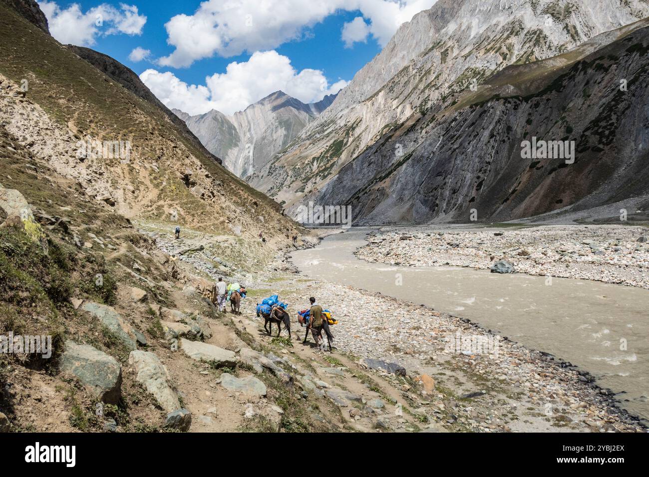 Trekking à travers la magnifique vallée luxuriante de Warwan, chaîne de Pir Panjal, Cachemire, Inde Banque D'Images