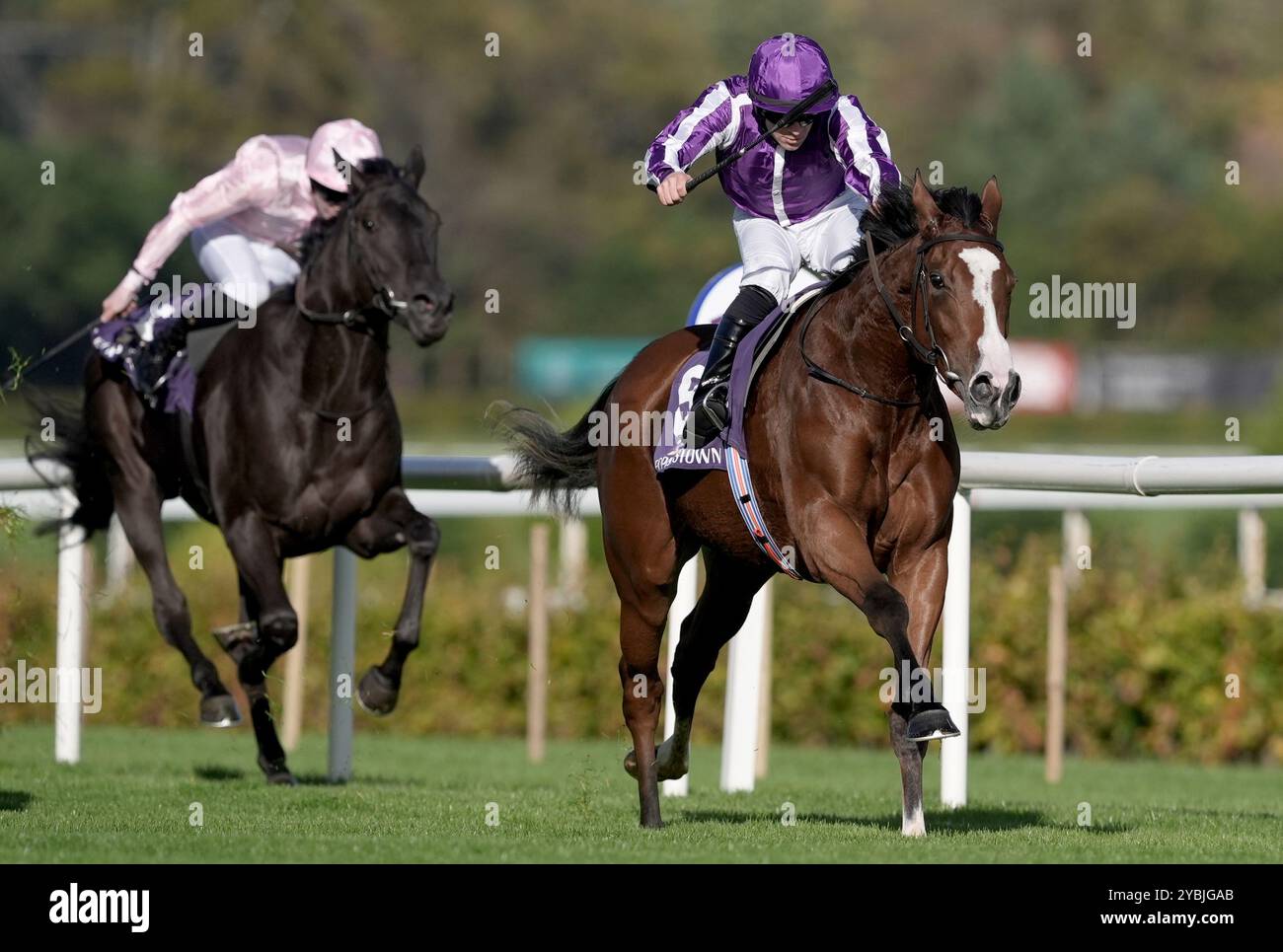 Minnie Hauk (à droite) montée par le jockey Wayne Lordan sur leur chemin pour gagner l'Irish Stallion Farms EBF Fillies Maiden lors de la première journée de l'AutumnFest à l'hippodrome de Leopardstown à Dublin, en Irlande. Date de la photo : samedi 19 octobre 2024. Banque D'Images