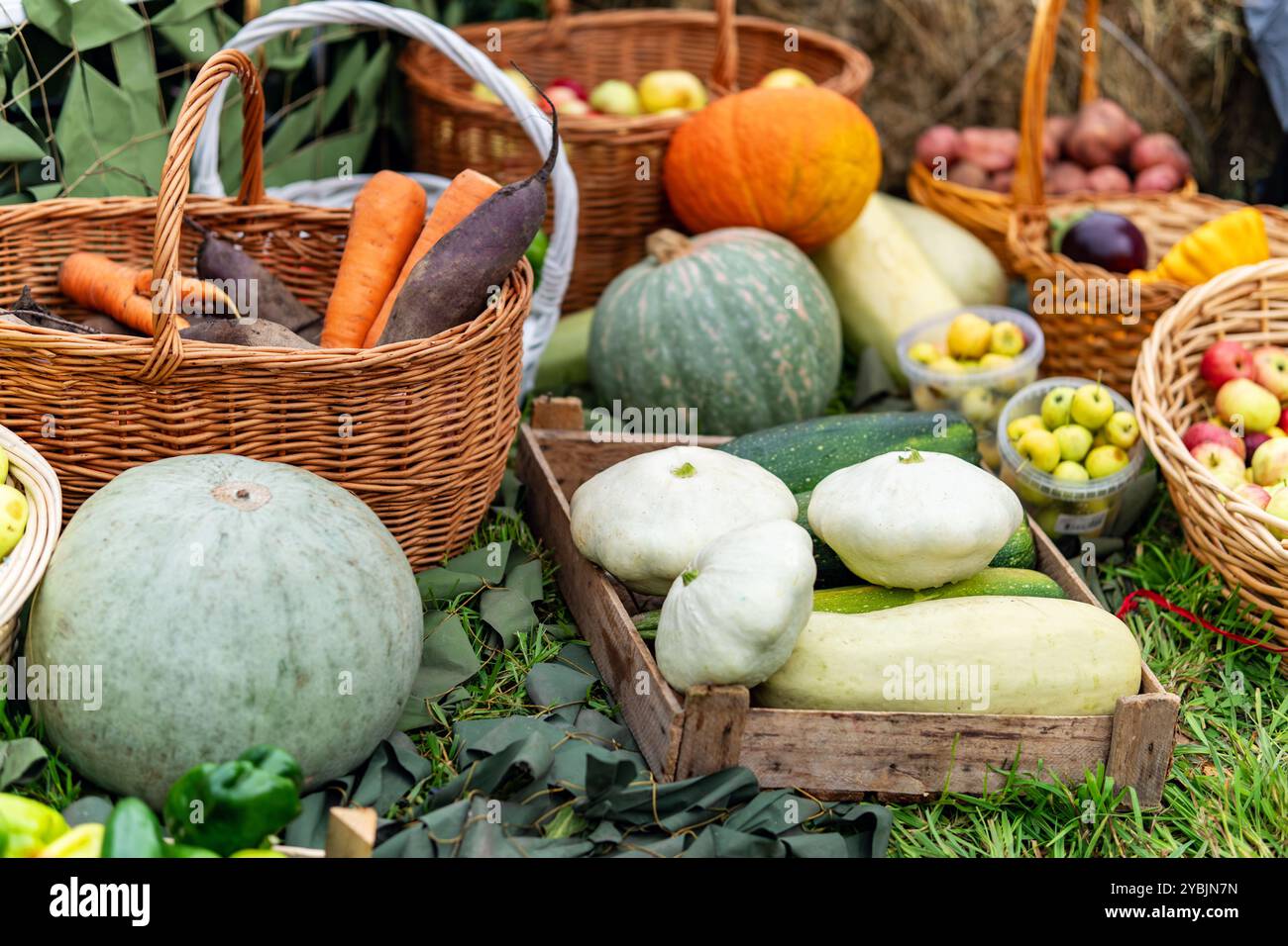 Concept de récolte d'automne. Fruits et légumes de saison dans des boîtes en bois et des paniers sur l'herbe verte. Légumes et fruits frais mûrs. Banque D'Images