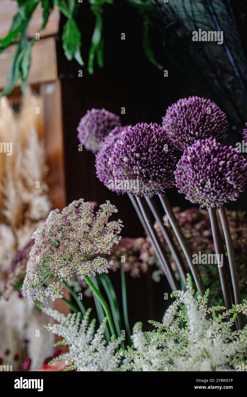 Surplus de fleurs allium dans le magasin de fleurs Banque D'Images
