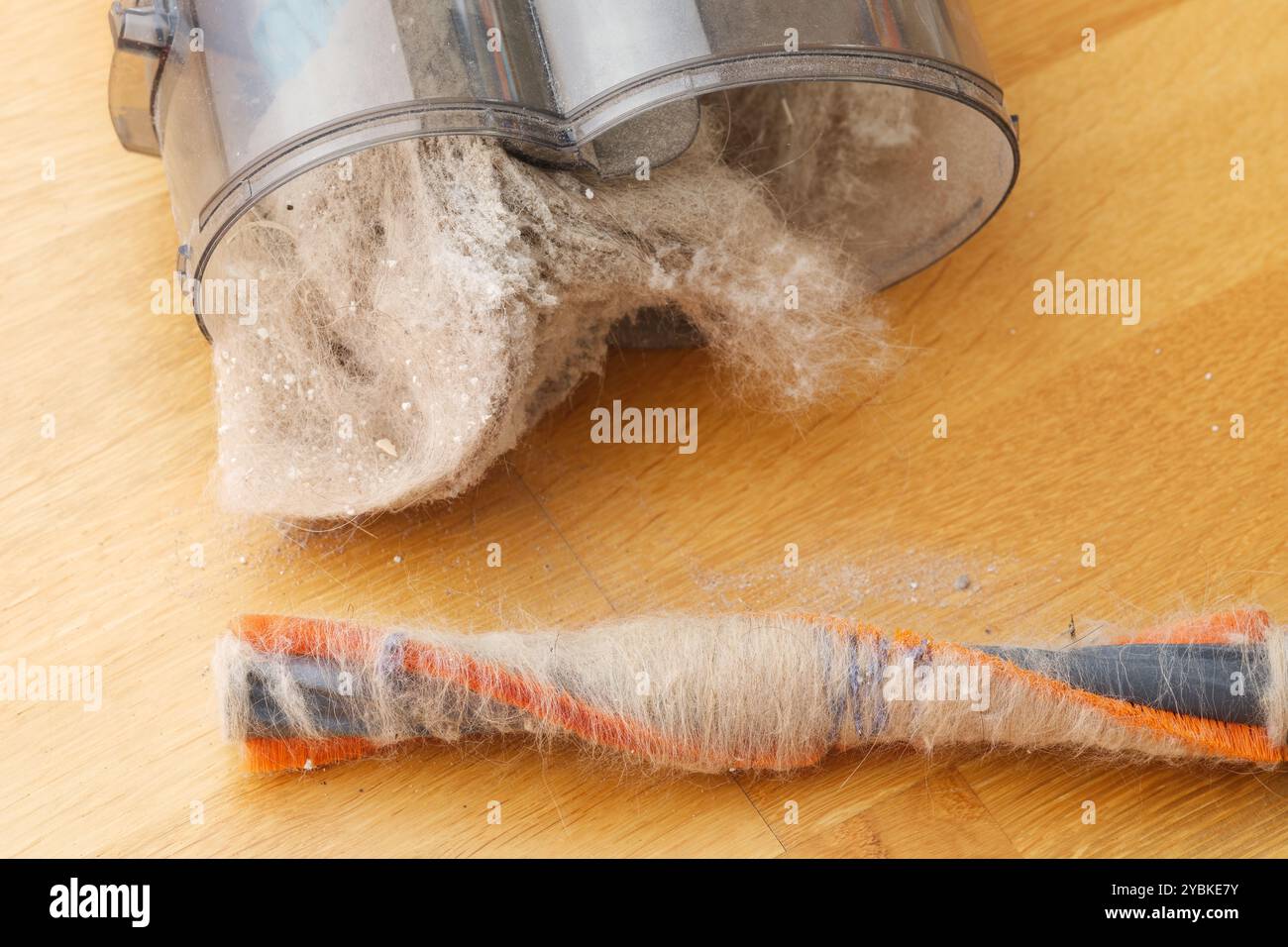 Un bac à poussière plein de poussière et une brosse d'aspirateur avec de la fourrure d'animal dedans. Gros plan. Banque D'Images