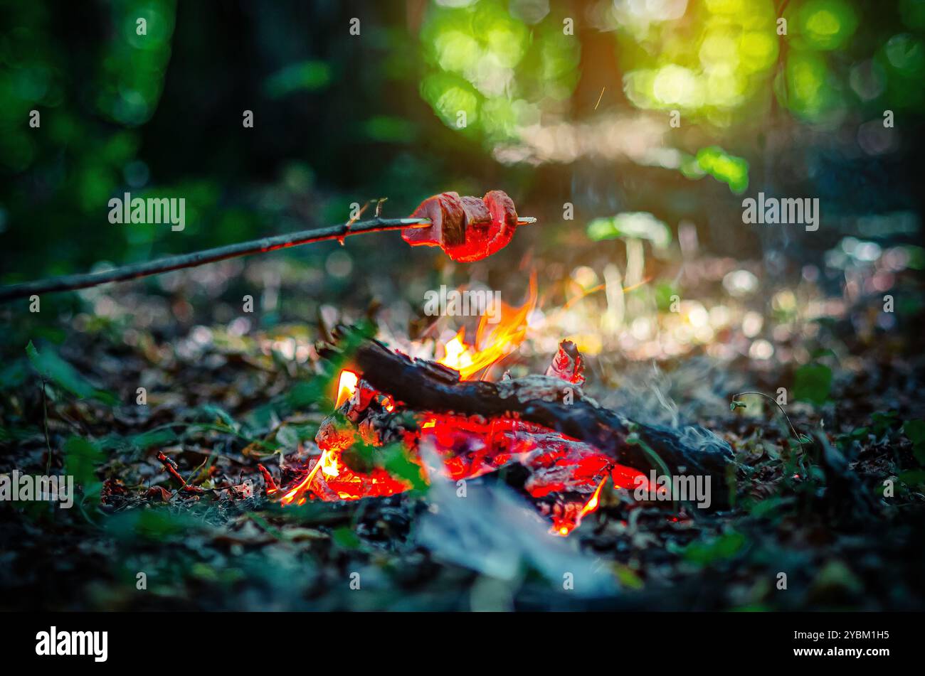 Flamme du foyer, sur lequel la viande est cuite sur la branche. Pique-nique en forêt. Les couleurs vives magiques sont floues Banque D'Images