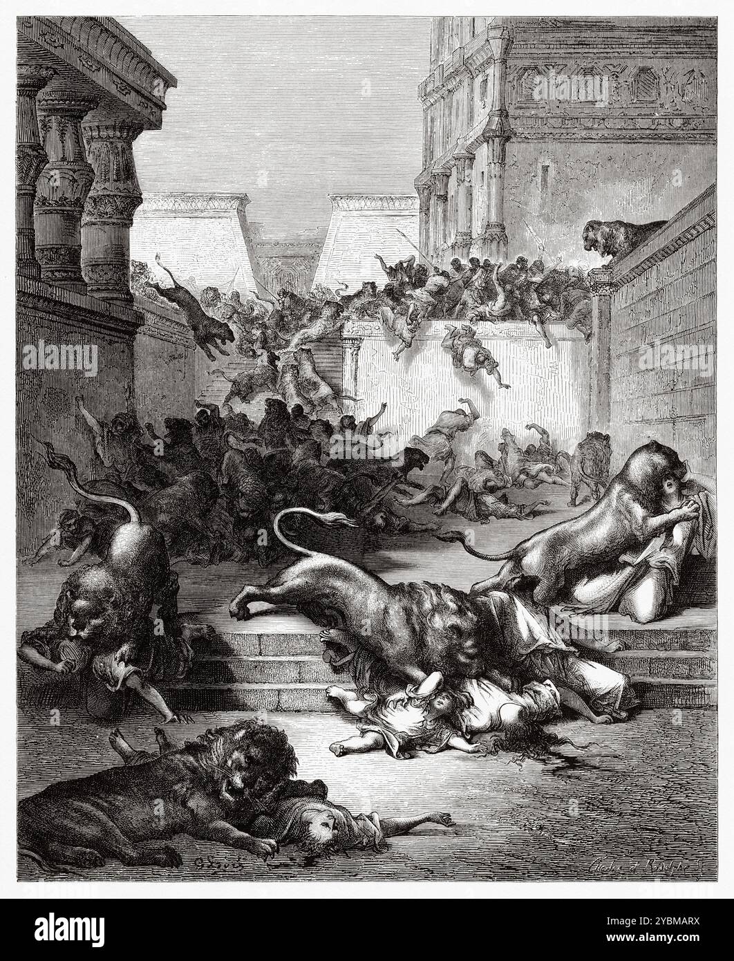 Les étranges Nations tuées par les lions de Samarie. Ancien Testament. Illustration biblique antique de Gustave Dore (1832-1883) Banque D'Images