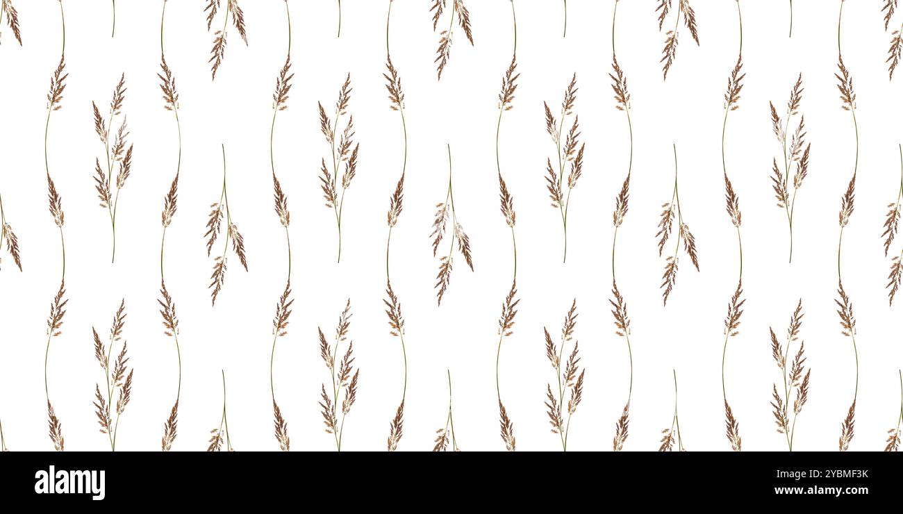 Motif sans couture de délicats épillets moelleux. Parfait pour créer carte botanique, invitation de mariage, design d'intérieur, carte postale, papier peint. Banque D'Images