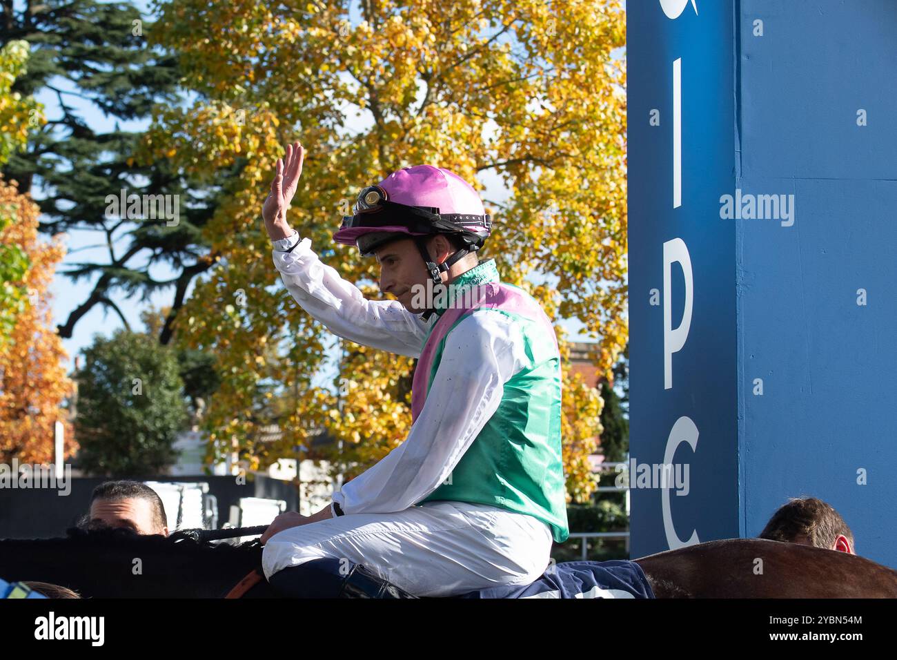 Ascot, Berkshire, Royaume-Uni. 19 octobre 2024. KALPANA piloté par le jockey William Buick remporte le QIPCO British Champions Fillies & Mares Stakes, Groupe 1, British Champions Series, classe 1 à l'hippodrome d'Ascot dans le Berkshire lors de la British Champions Day 2024. Propriétaire Juddmonte, entraîneur Andrew Balding, éleveur Juddmonte Farms Ltd, commanditaire Juddmonte Farms Inc. Crédit : Maureen McLean/Alamy Live News Banque D'Images