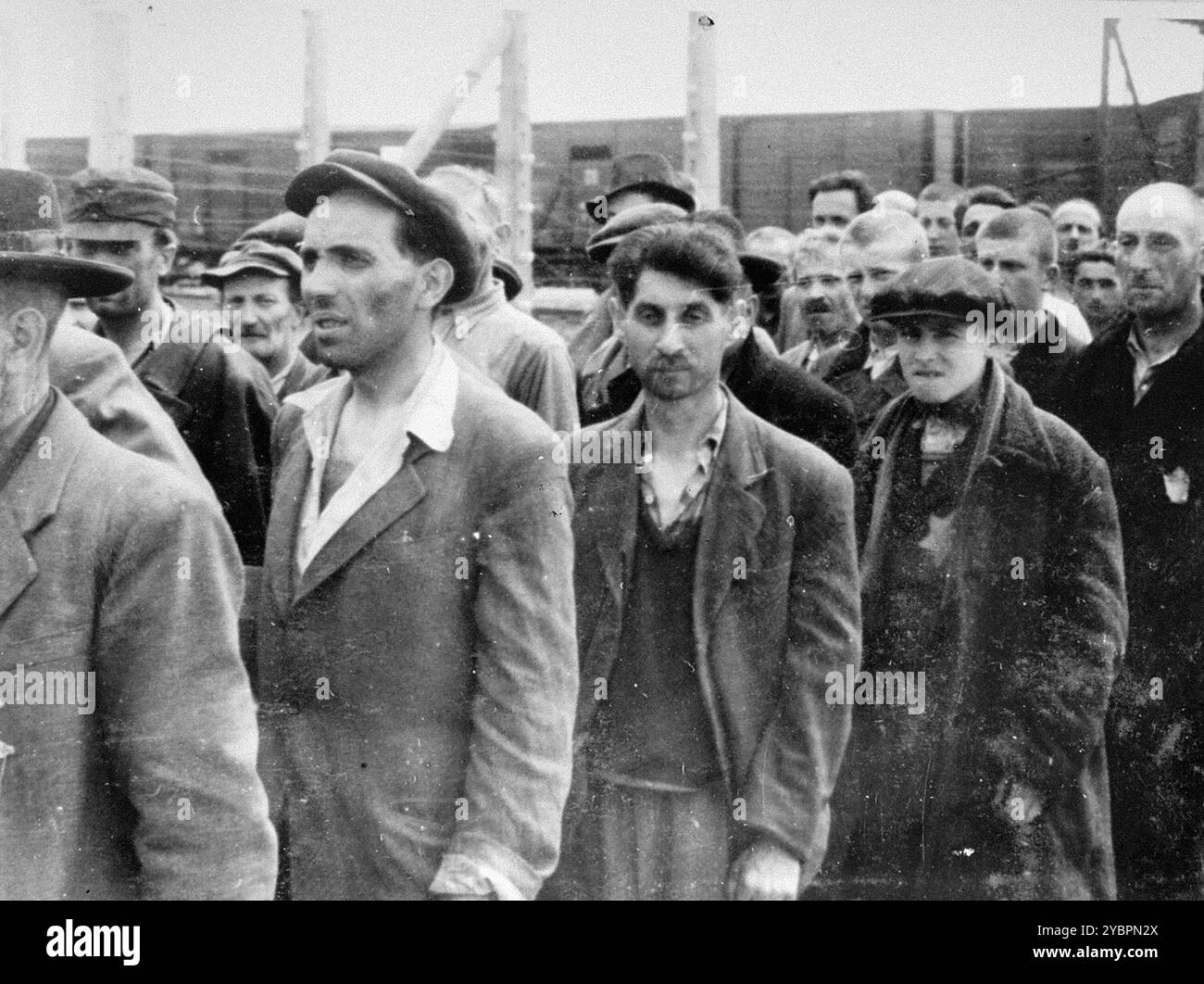 Les Juifs de Hongrie qui ont été sélectionnés pour le travail forcé à Auschwitz sont conduits dans une autre section du camp. Les Juifs en Hongrie étaient relativement en sécurité jusqu'à ce qu'Hitler, craignant que la Hongrie cherche un accord avec les alliés, ordonne l'invasion du pays en mars 1944. Entre le 15 mai et le 9 juillet 1944, plus de 434 000 Juifs ont été déportés dans 147 trains, la plupart d'entre eux à Auschwitz, où environ 80% ont été gazés à leur arrivée. La progression rapide des expulsions a été rendue possible par une coopération étroite entre les autorités hongroises et allemandes. Banque D'Images