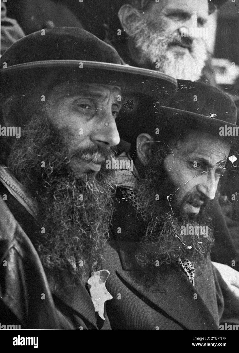 Des hommes juifs hongrois religieux attendent la sélection sur la rampe d'Auschwitz. Les Juifs en Hongrie étaient relativement en sécurité jusqu'à ce qu'Hitler, craignant que la Hongrie cherche un accord avec les alliés, ordonne l'invasion du pays en mars 1944. Entre le 15 mai et le 9 juillet 1944, plus de 434 000 Juifs ont été déportés dans 147 trains, la plupart d'entre eux à Auschwitz, où environ 80% ont été gazés à leur arrivée. La progression rapide des expulsions a été rendue possible par une coopération étroite entre les autorités hongroises et allemandes. Banque D'Images