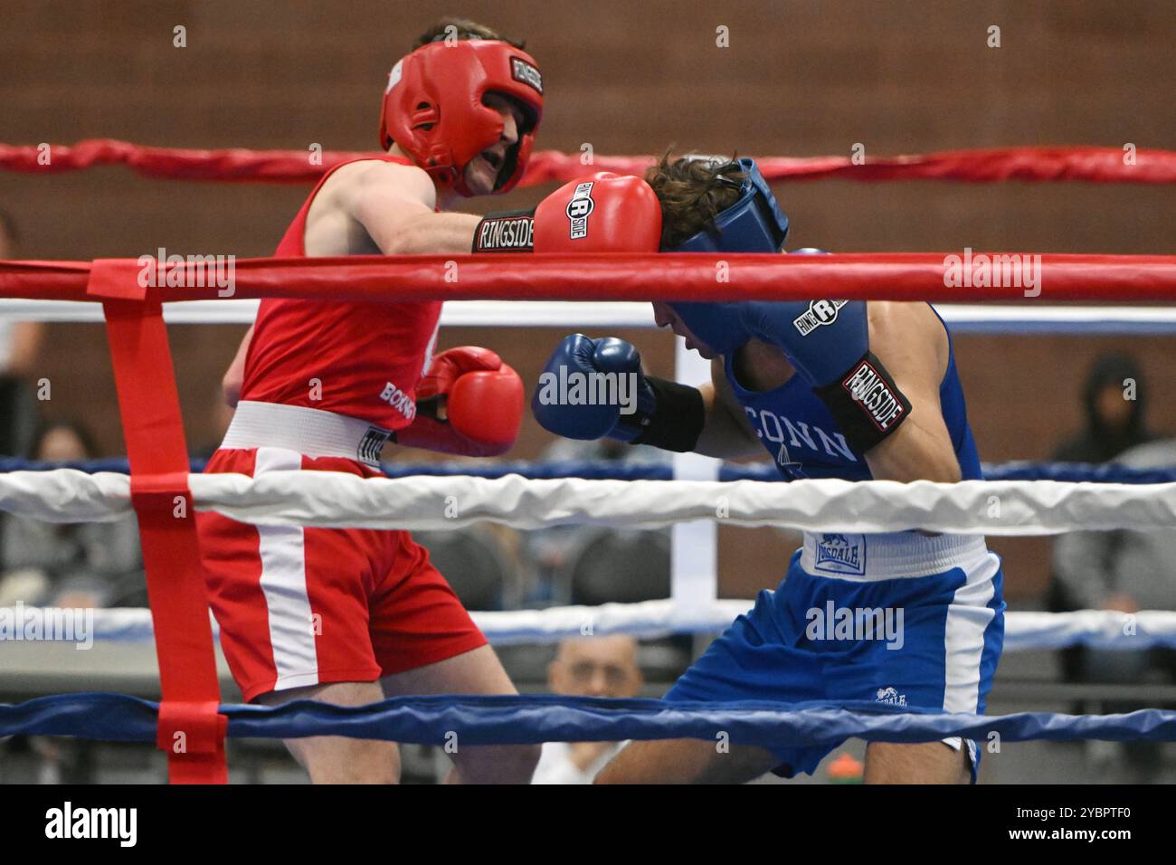 Columbus, Ohio, États-Unis. 19 octobre 2024. Brian Knicker de l'Ohio State (rouge) frappe Patrick Sciensky de l'UConn (bleu) dans la catégorie 165 lb masculin au Buckeye Brawl 2024 à Columbus, Ohio, États-Unis. Crédit : Brent Clark/Alamy Live News Banque D'Images