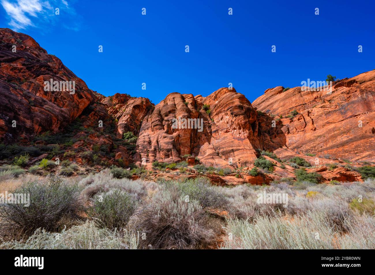Red Reef Cliffs Harrisburg Utah lors d'une randonnée à l'automne 2024 Banque D'Images