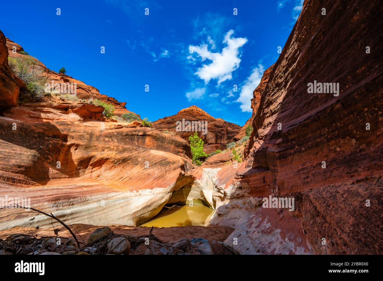 Red Reef Cliffs Harrisburg Utah lors d'une randonnée à l'automne 2024 Banque D'Images