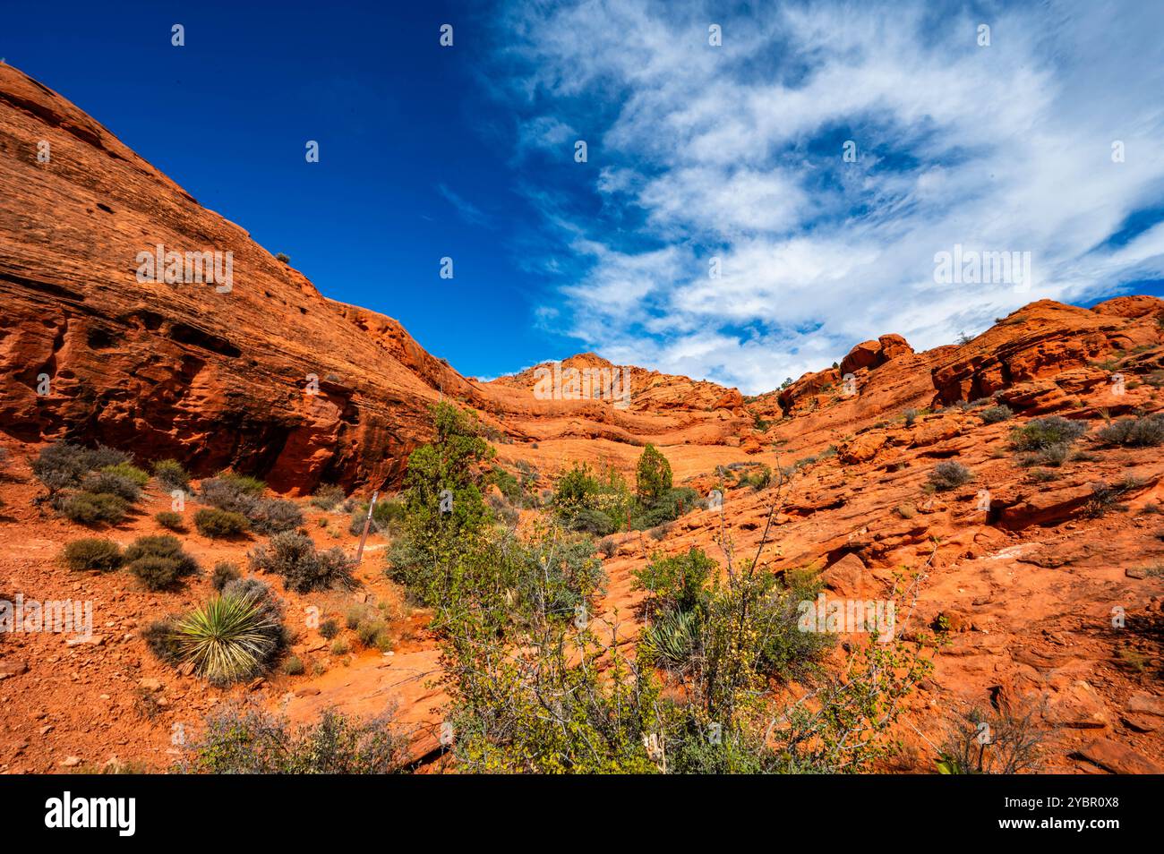 Red Reef Cliffs Harrisburg Utah lors d'une randonnée à l'automne 2024 Banque D'Images