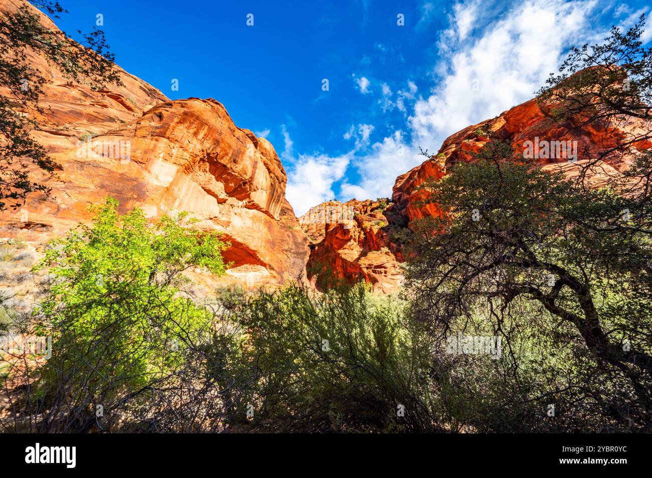 Red Reef Cliffs Harrisburg Utah lors d'une randonnée à l'automne 2024 Banque D'Images