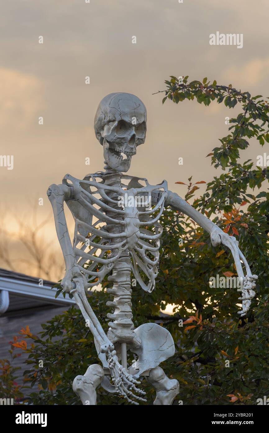 Un squelette humain décoratif d'Halloween se dresse à l'extérieur contre un ciel nuageux, entouré de feuillage d'automne, créant une atmosphère sinistre Banque D'Images