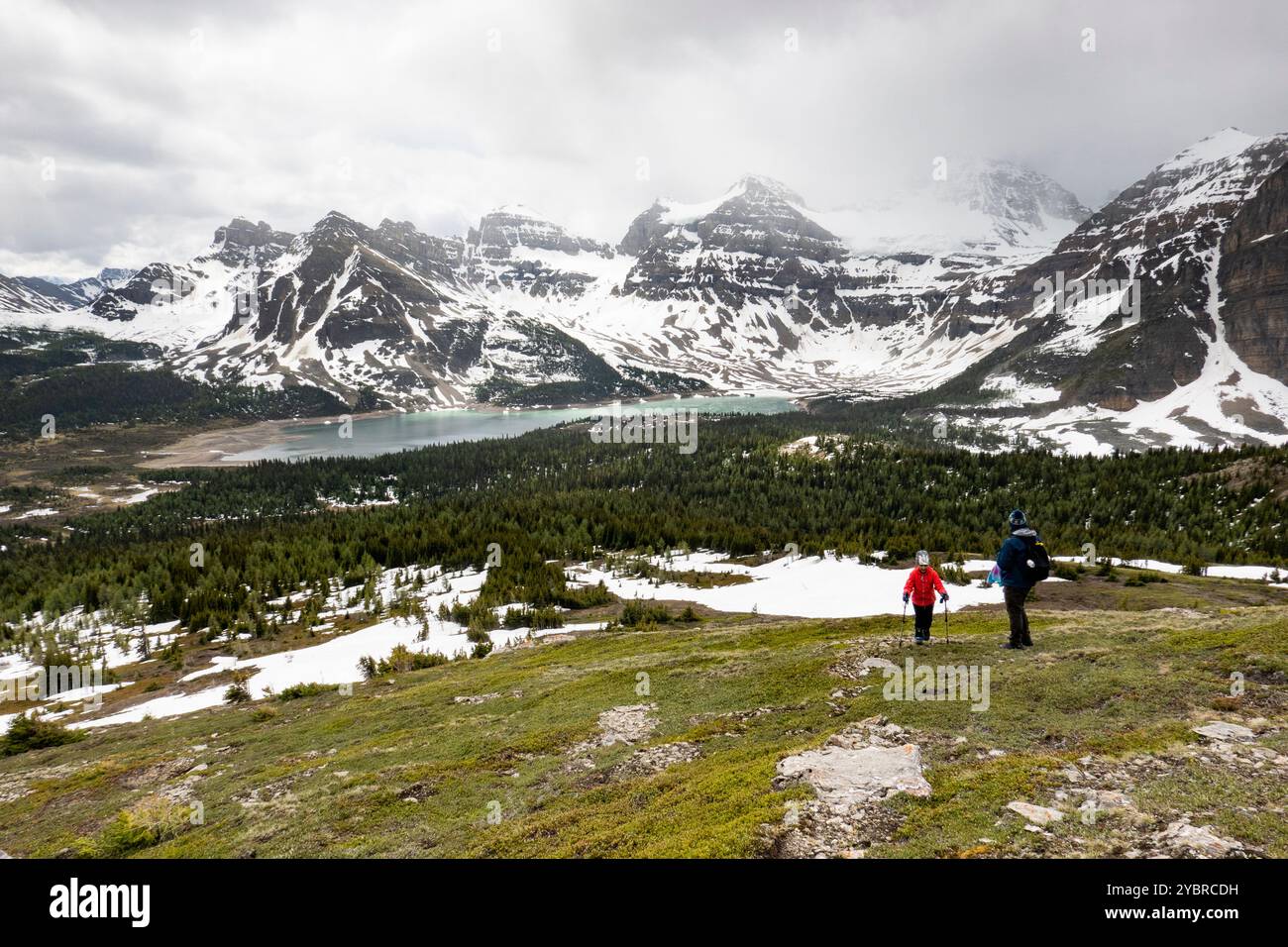 Randonneurs dans le parc Mount Assiniboine, Colombie-Britannique, Canada Banque D'Images