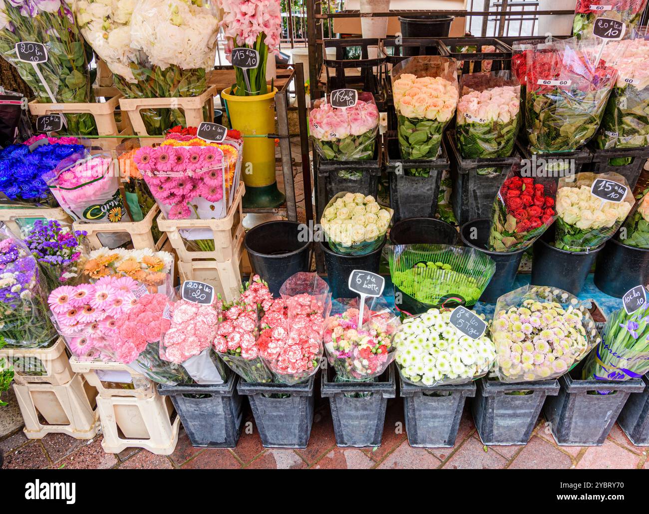 Détail d'un étal au marché aux fleurs du cours Saleya, Nice, Provence-Alpes-Côte d'Azur, Alpes-Maritimes, France Banque D'Images