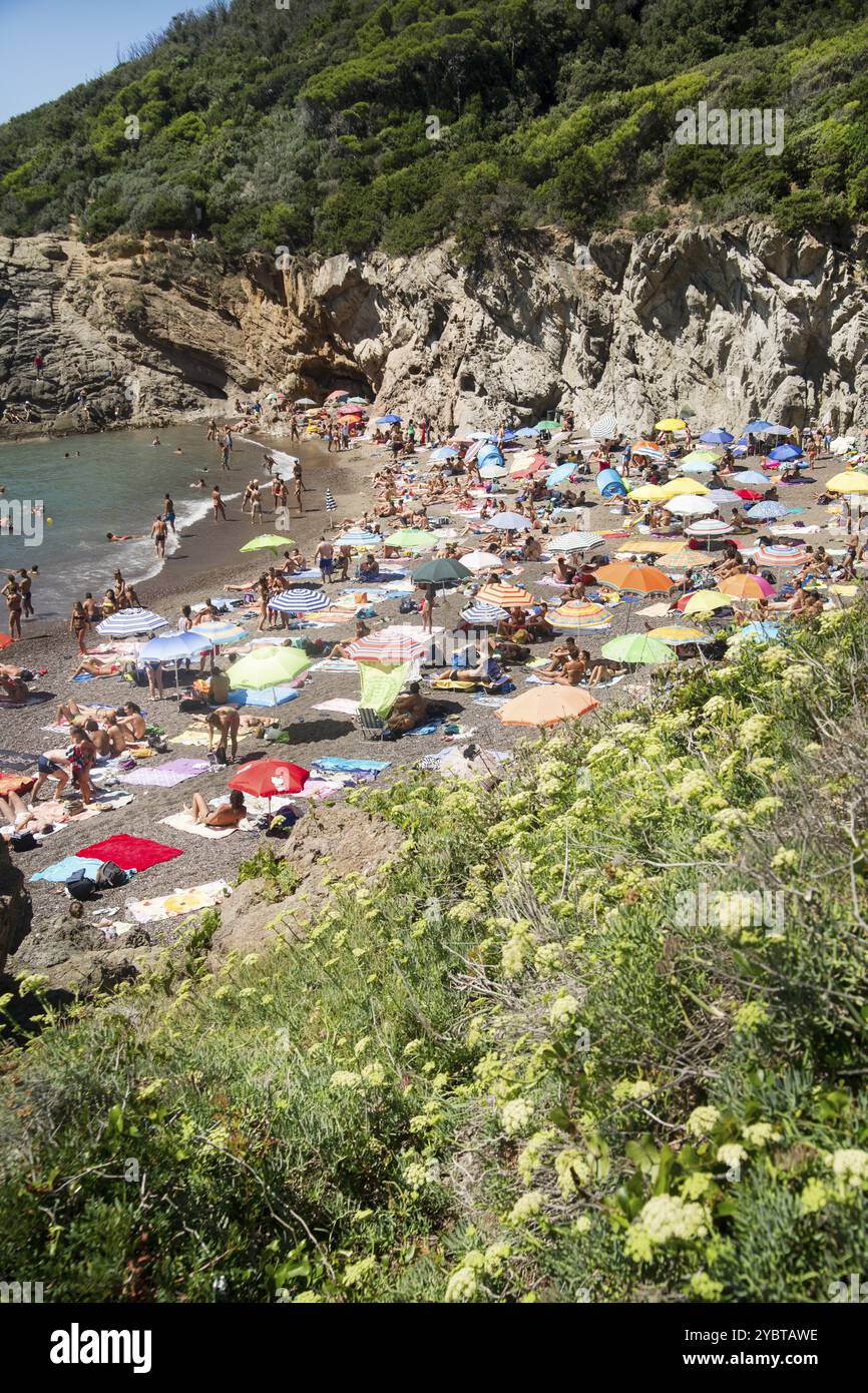 Crique de Lion, plage sur la côte toscane près de Livourne ville Italie Banque D'Images